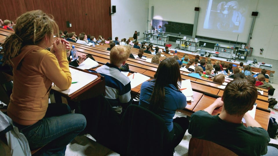 auditori dad in'universitad
