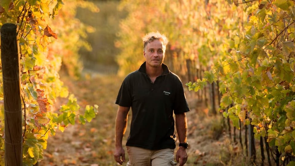 Vendemia 2020: Prognosa da l'aura fa quitads a viticulturs