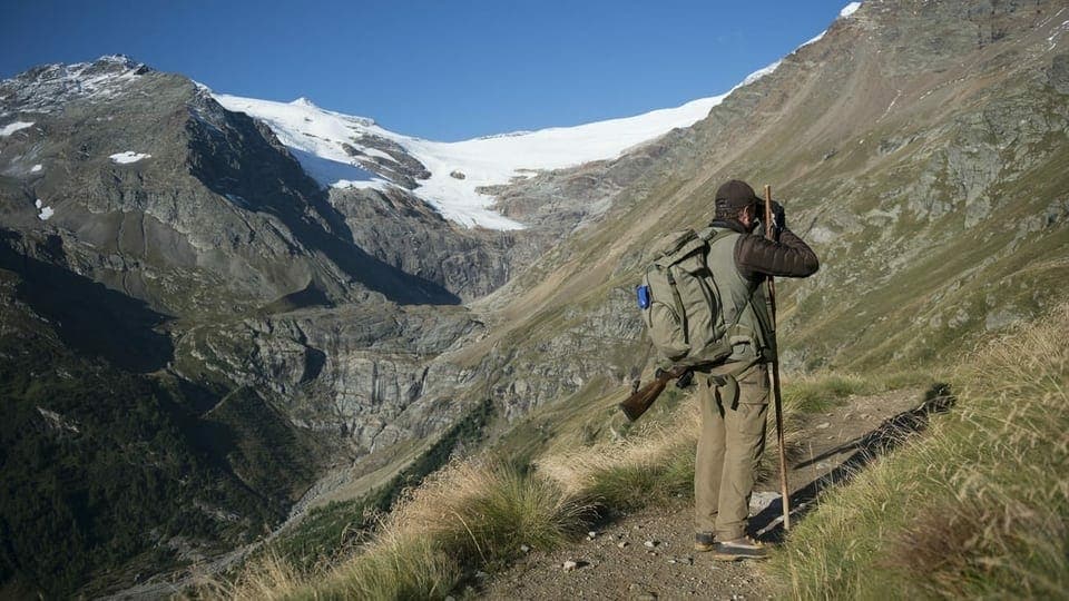 Revistas 2019: la chatscha speziala en il visier