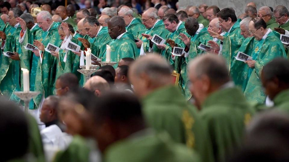 Ils uvestgs durant la sinoda en il Vatican. 