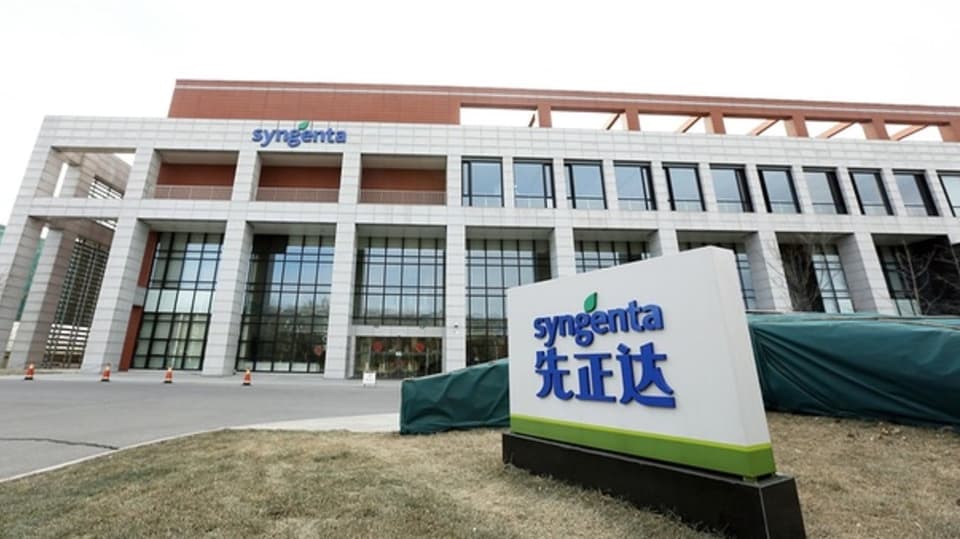 La sedia da Syngenta en China.