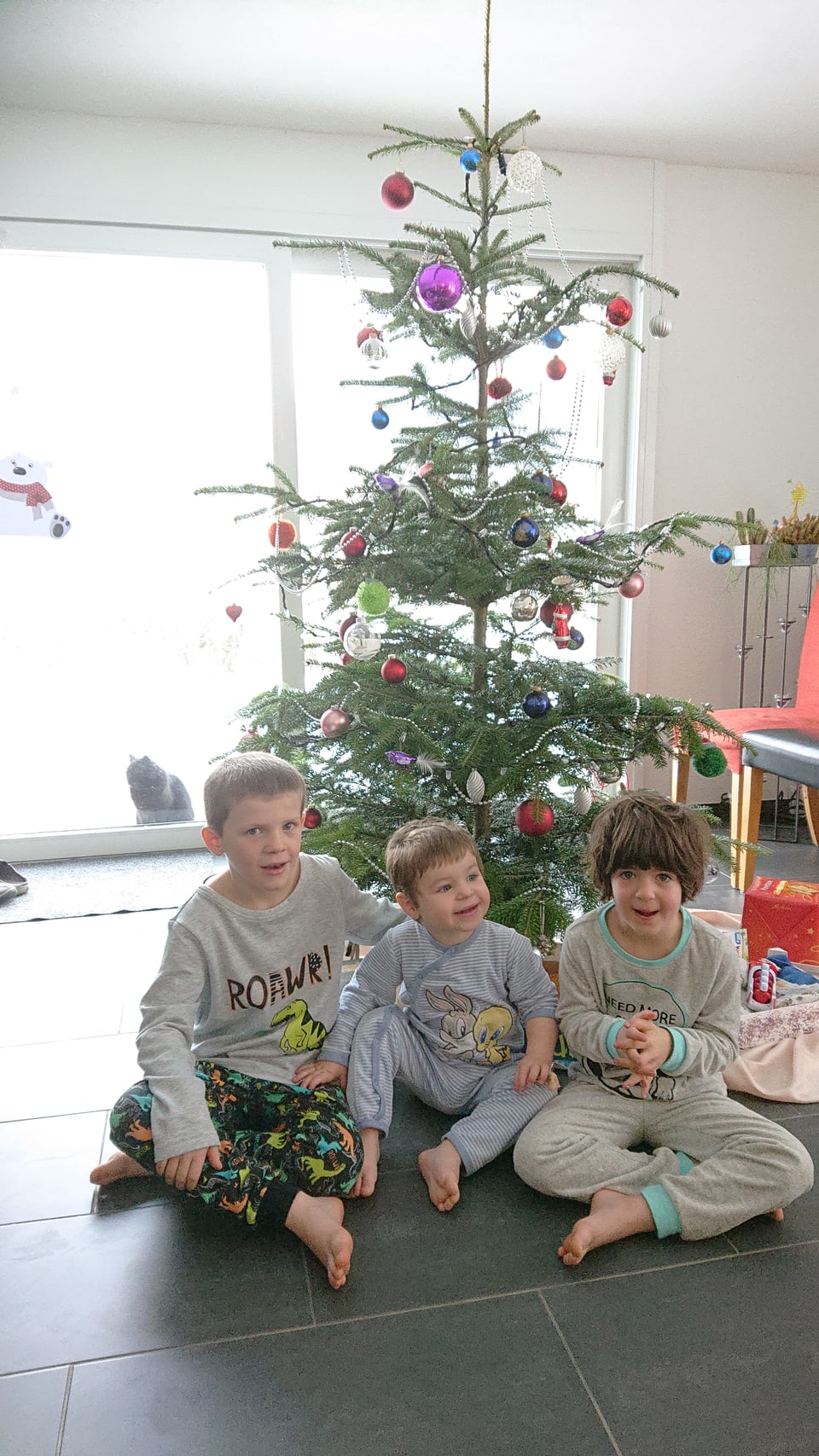Igl pignol da Nadal da la famiglia da Priska Müller ed Armin Manetsch.