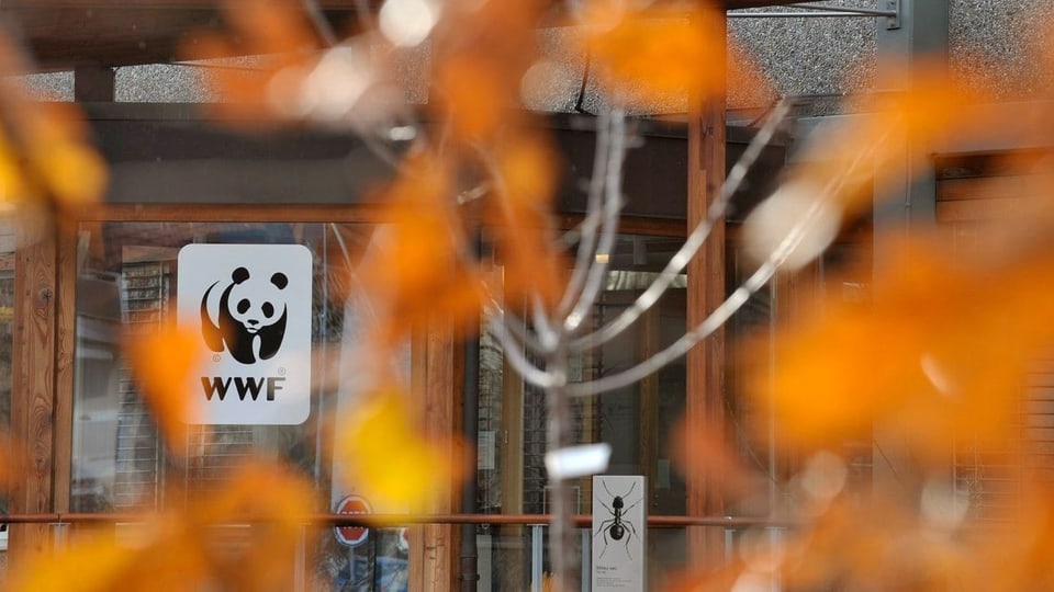 Purtret dal logo da WWF, cun si il panda nair ed alb. 
