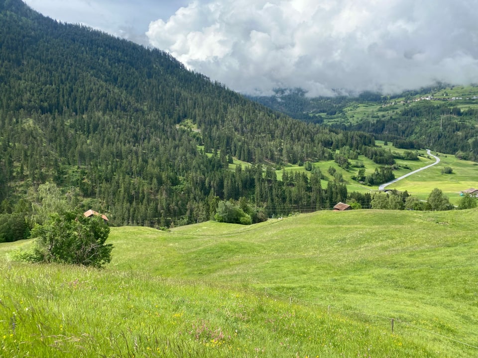 Vista (davent dal protal planisà dal tunnel) vers la via naziunala che maina da Casti a Savognin.