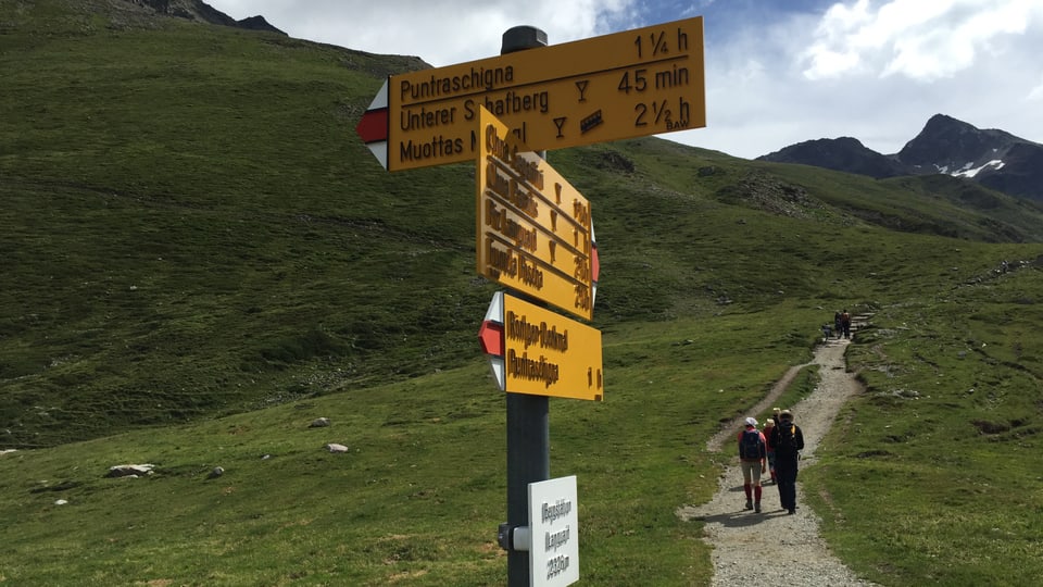 Navent da l'alp Languard sa po far differentas turas. Nus giainsa en direcziun dal Munt da la Bês-cha e Muottas Muragl.