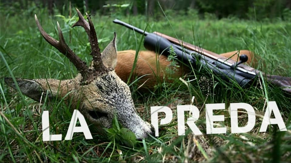 La preda.