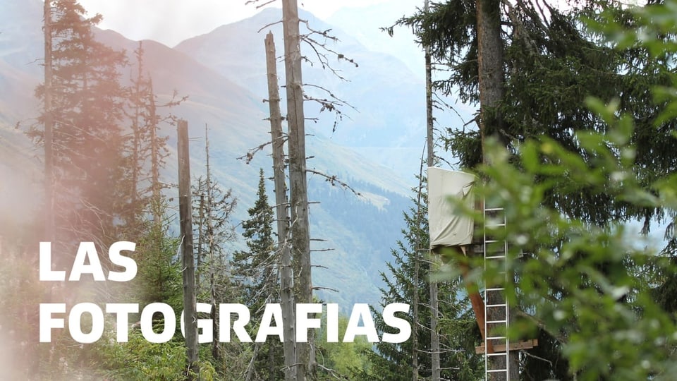 Las fotografias