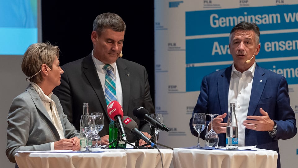 Karin Keller-Sutter, Christian Amsler e Hans Wicki.