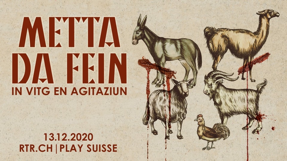 Placat da la seria-web Metta da fein cun 5 animals