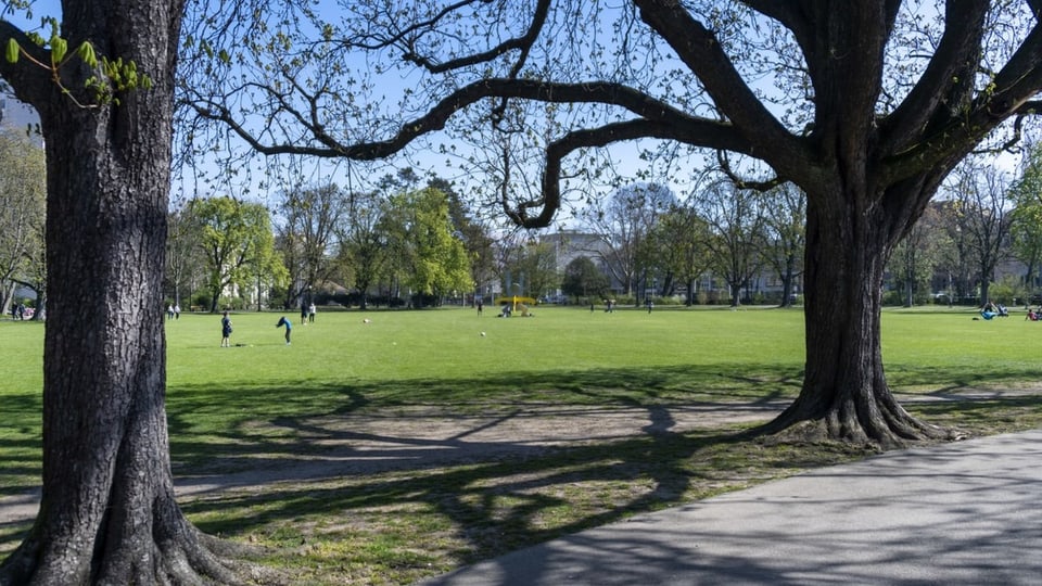 Schützenmattpark a Basilea Schützenmattpark a Basilea