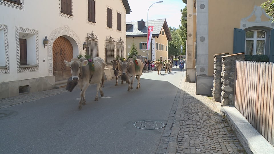 In maletg tradiziunal tras il vitg da Schlarigna.