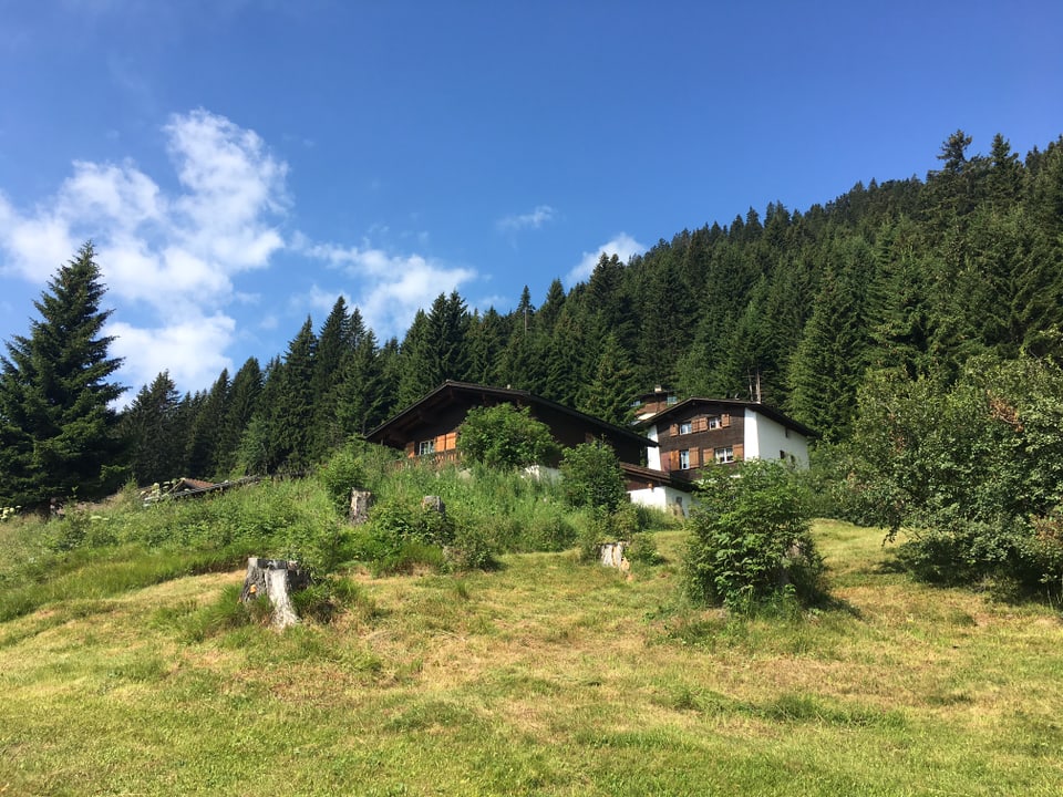 Impressiuns da Brambrüesch.