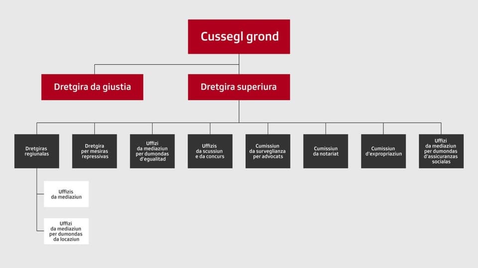 Organigram per survegliar dretgiras