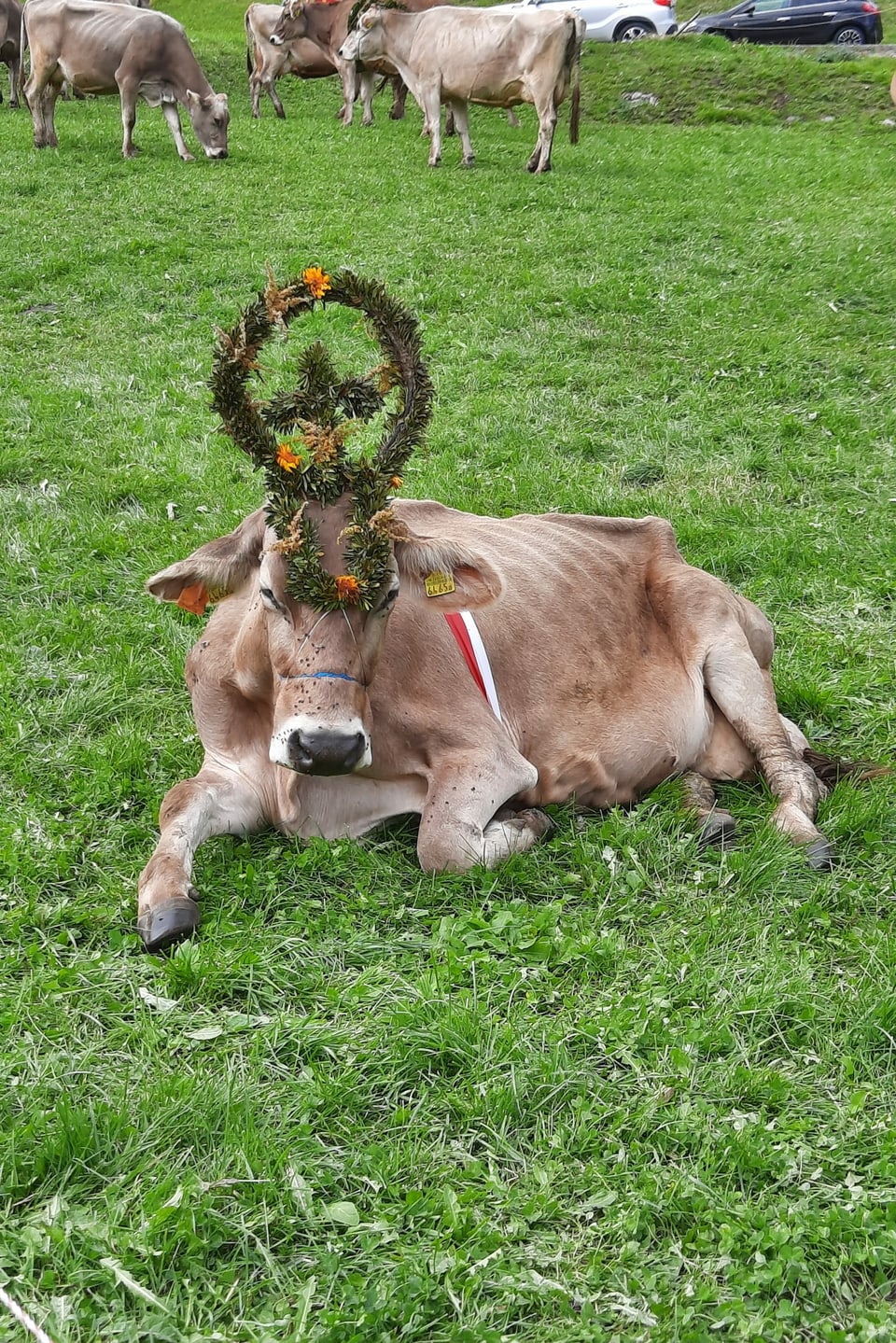 Ein schöner Blumenkranz. Porträt aus der Sent.