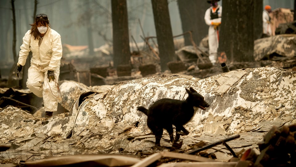 Persunas en vestgadira suren ed in chaun che tschertgan victimas. 