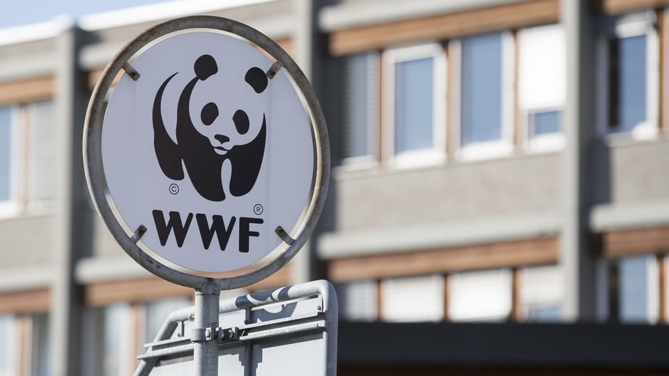 Saira: Lubientscha da sajettar 4 lufs – WWF examinescha in recurs
