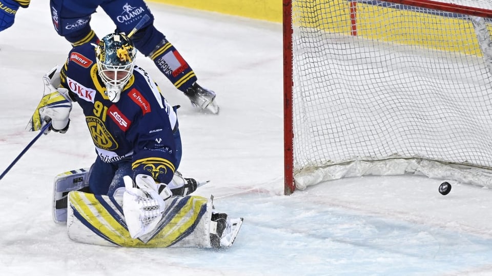 Gieu tranter Tavau ed ils ZSC Lions.