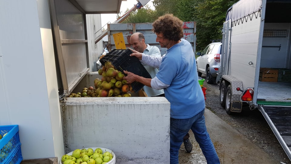 La clientella furnescha la maila.