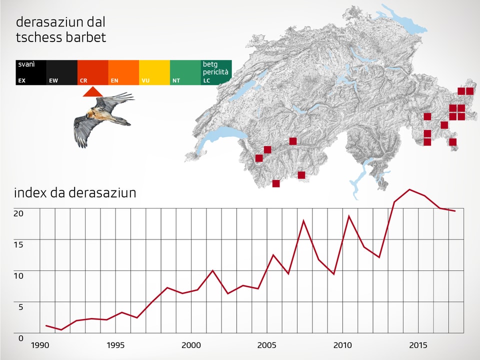 Grafica derasaziun tschess barbet
