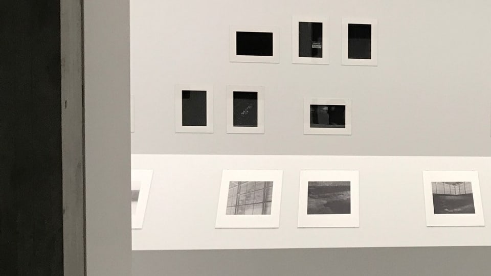 Extracts or da las fotografias dal ciclus “IN VIVO” (1980-1989).