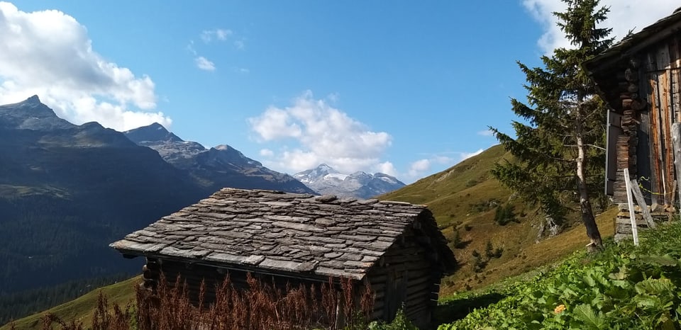 La chamona dals Dermonds en Val S. Pieder