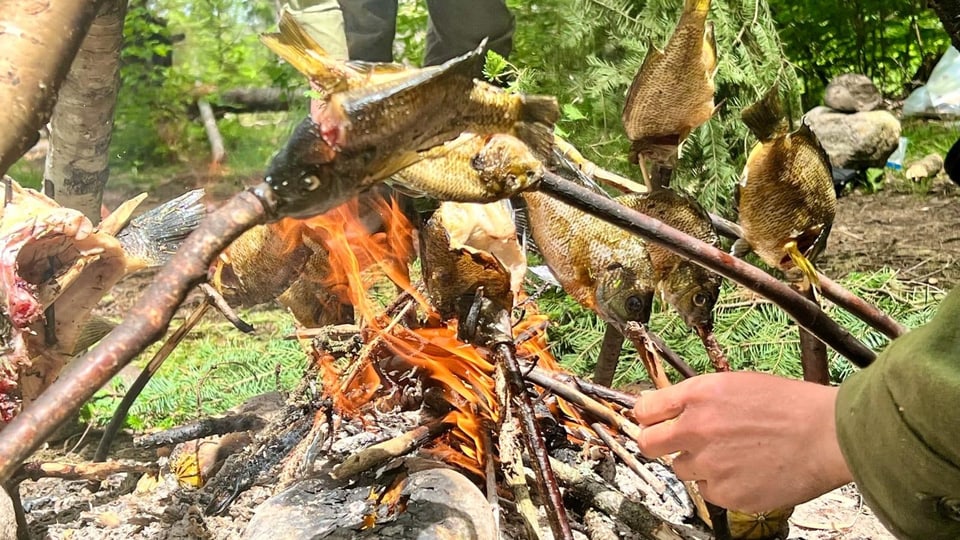Die Gruppe brät Fisch auf dem offenen Feuer