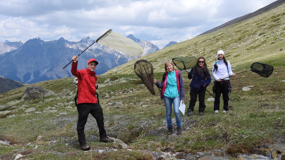 4 perscrutaders èn en viadi cun raits da tschiffar insects amez las muntognas.