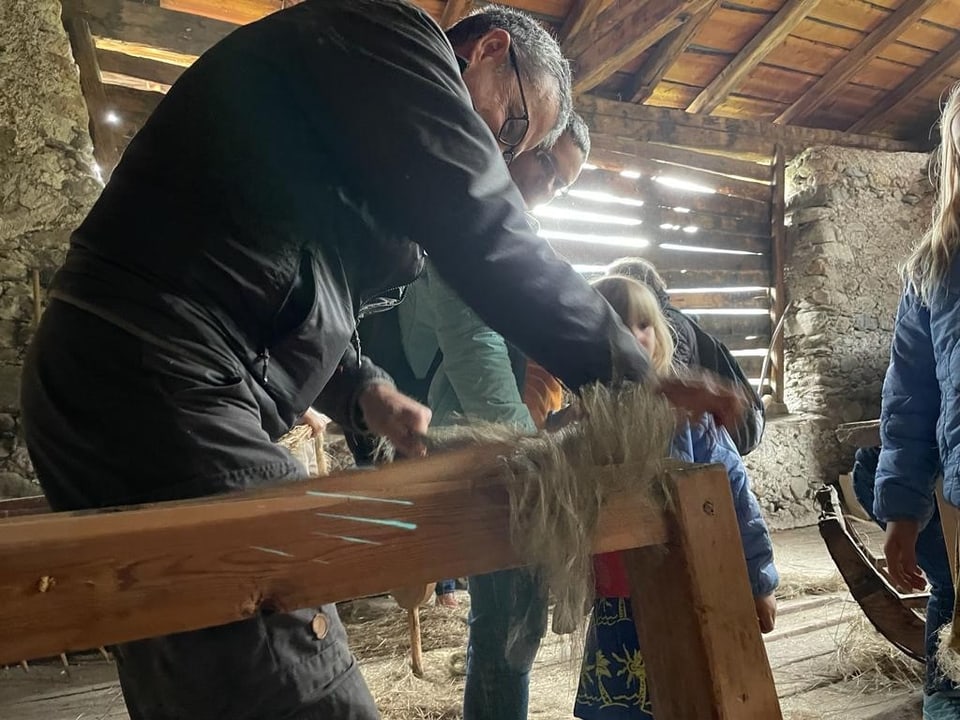 Die Besucher konnten auch selbst Hand anlegen bei der Flachsbearbeitung.