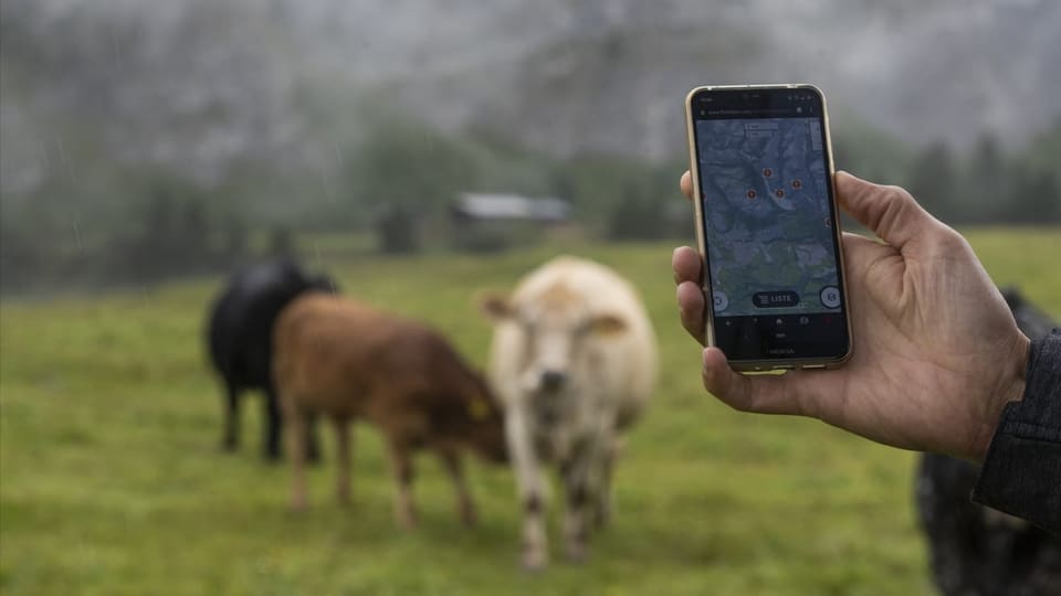 In guid digital per turistas e turists: tals projects pn sperar sin dapli sustegn finanzial da la Confederaziun.