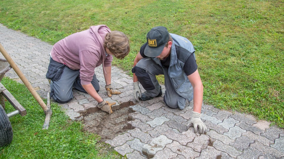 Maik e Rick vi da reparar la senda da sulada.