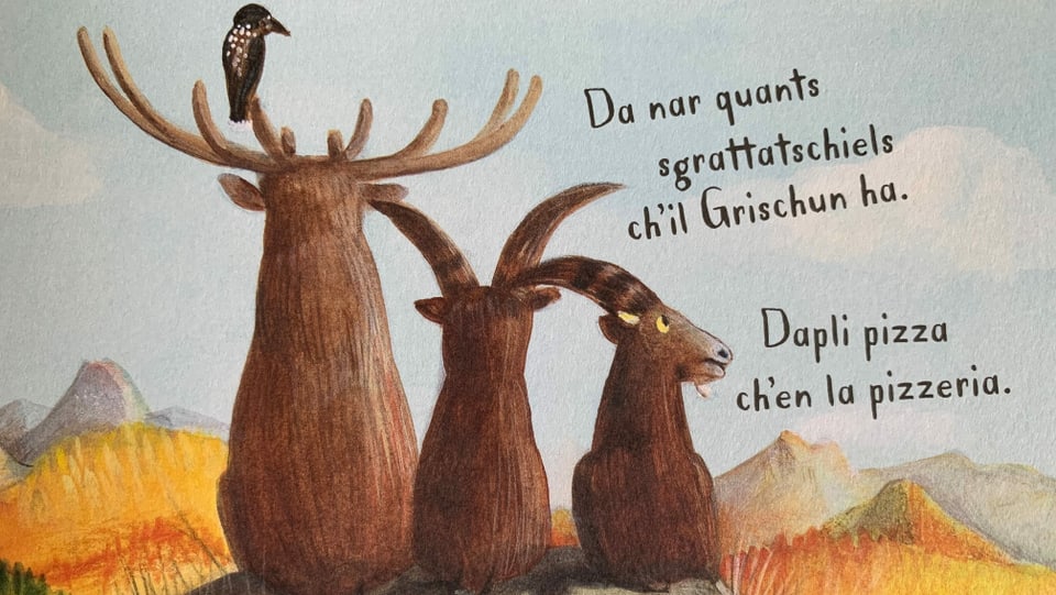 Purtret dal cudesch d'aventuras. 