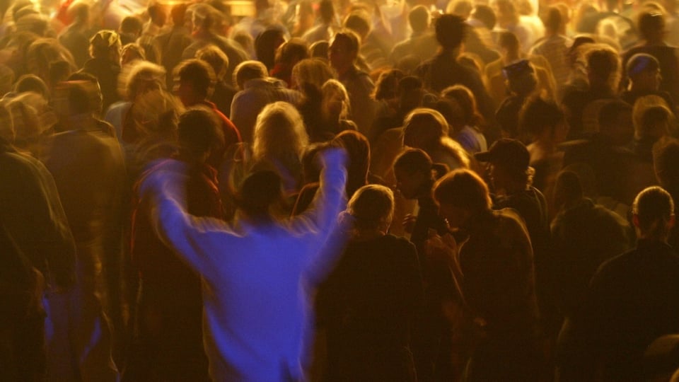 party da goa