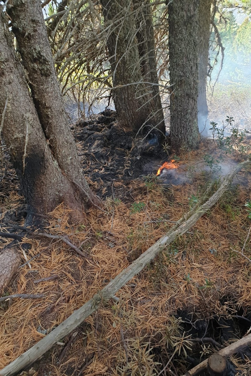 Foto da l'incendi