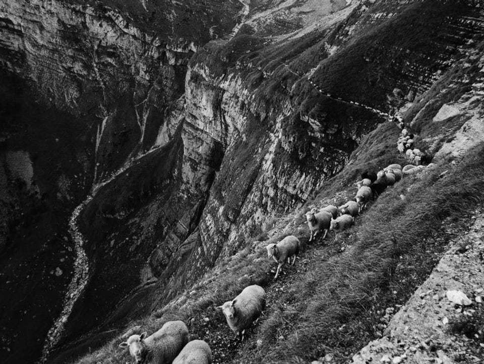 Fotografia ord la seria «Vertikale Ebenen».