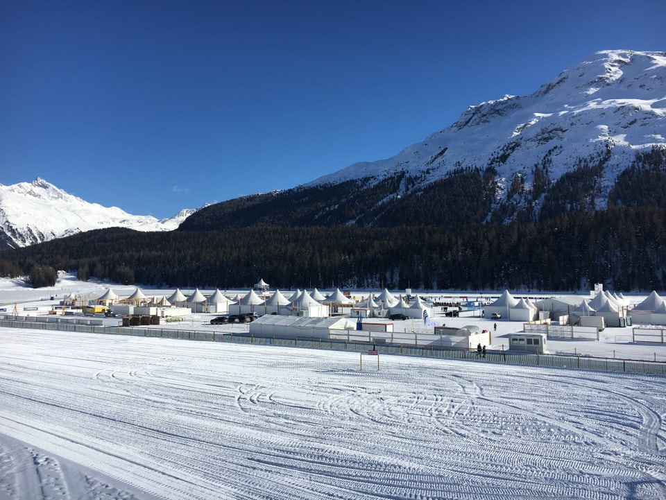 Ice Cricket a San Murezzan. 