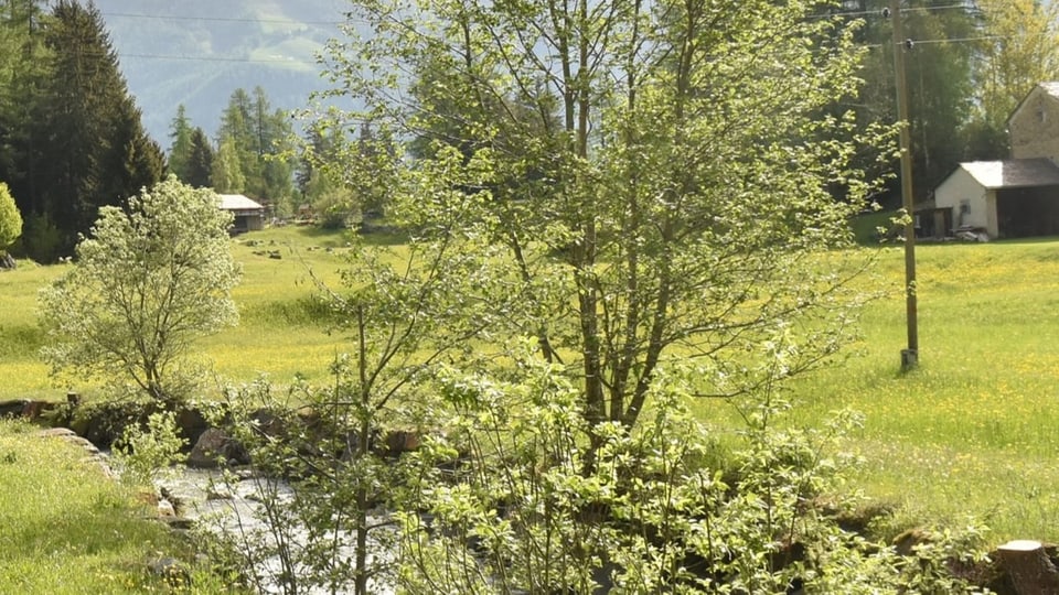 Foto dal lieu sper l'aual
