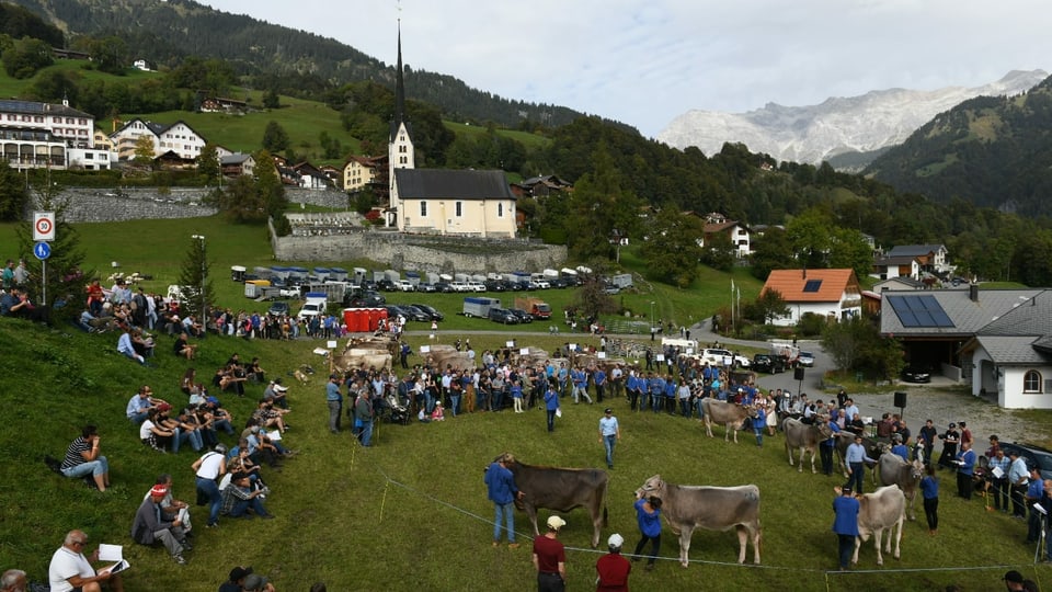 Blick zum Dorf wo Kühe und Menschen sich tummeln 