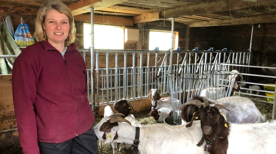Rosina Derungs im Stall mit ihren Ziegen der Sorte Burra