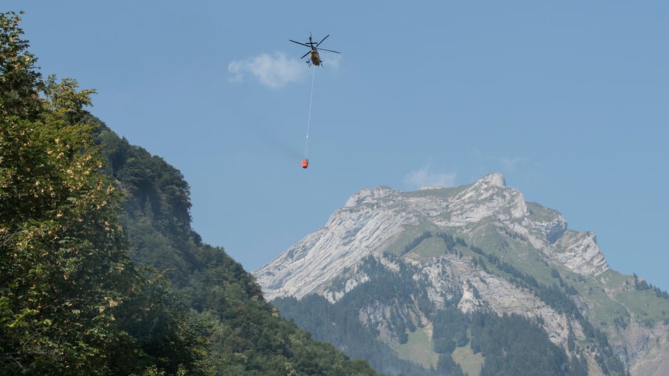 Helicopter che stizza il fieu.