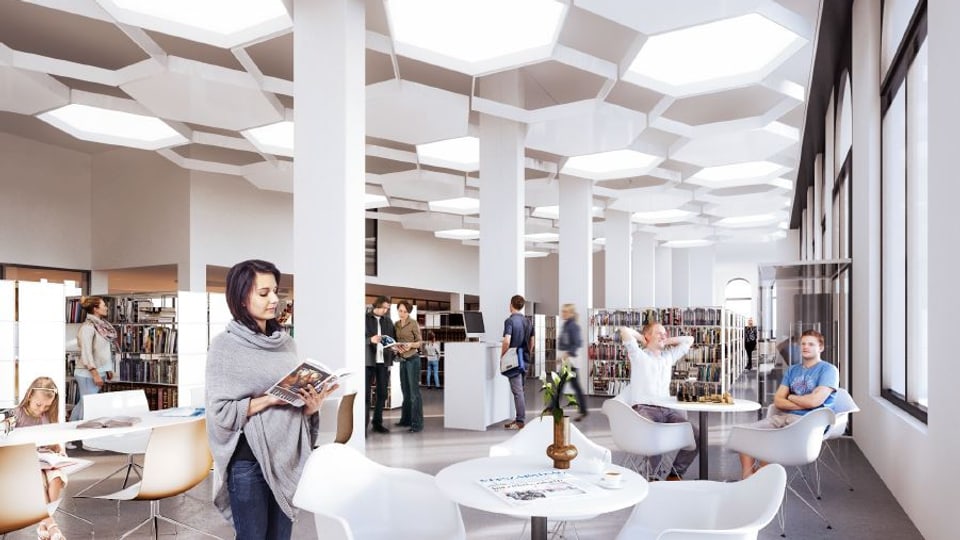biblioteca dalla citad