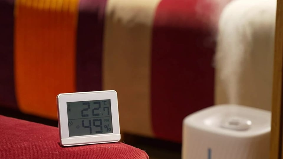 Luftbefreuchter und Thermometer