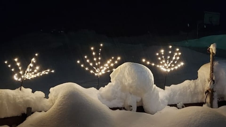 Temp d'advent Naiv e glischs