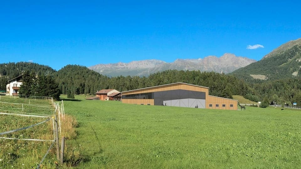 Halla da chavaltgar