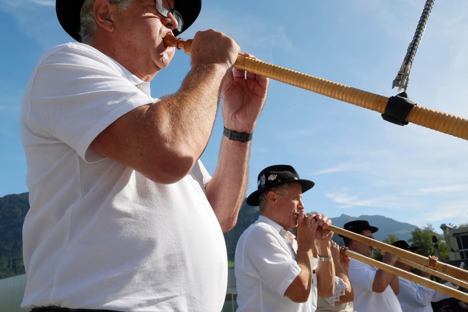Alphornbläser