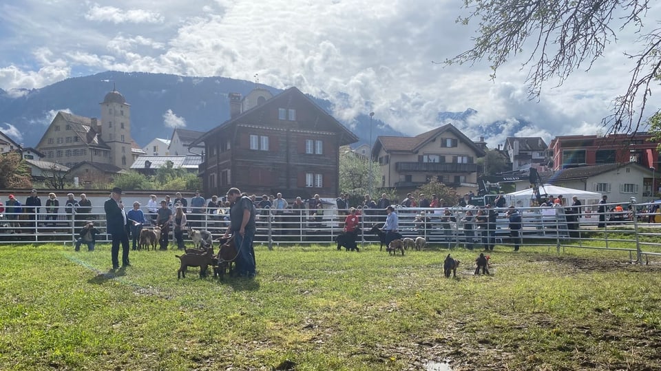 Impressiun da l'Agrischa.