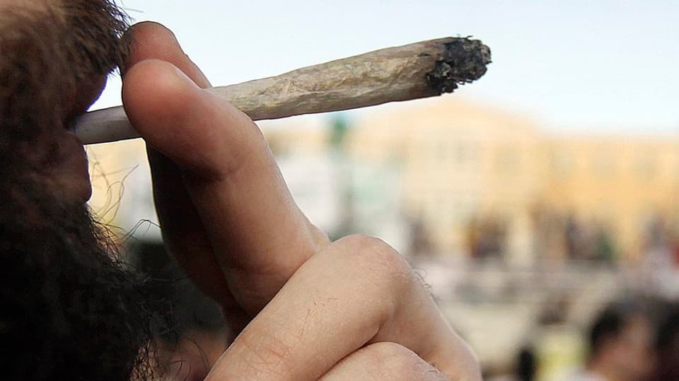 In um fima cannabis. 