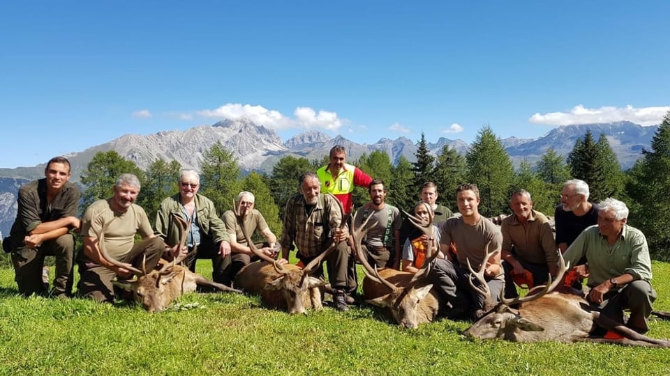 Trais tschiervs da curuna ed in tschierv da diesch senza curuna en in avantmezdi