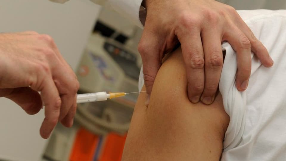 vaccinar