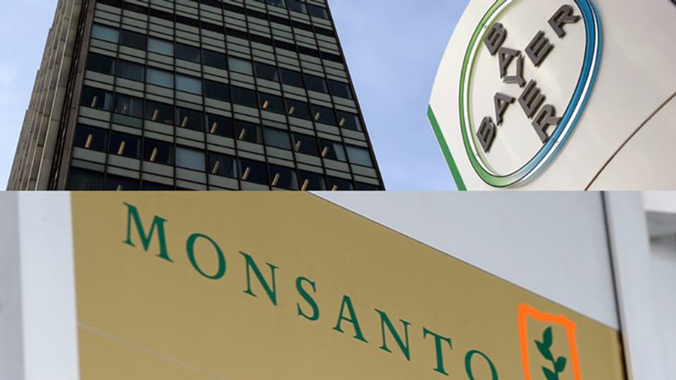 Logo dal concern da chemia Bayer sur logo da Monsanto