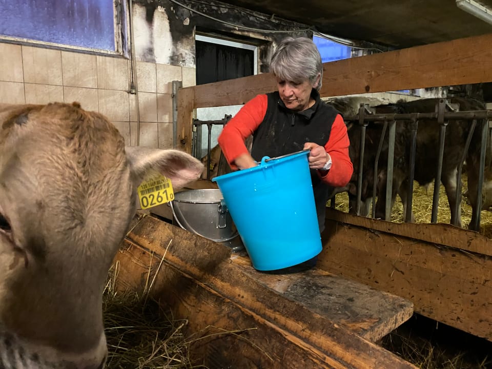 Bea Derungs mesira il latg cun in liter, per dar als vadels.